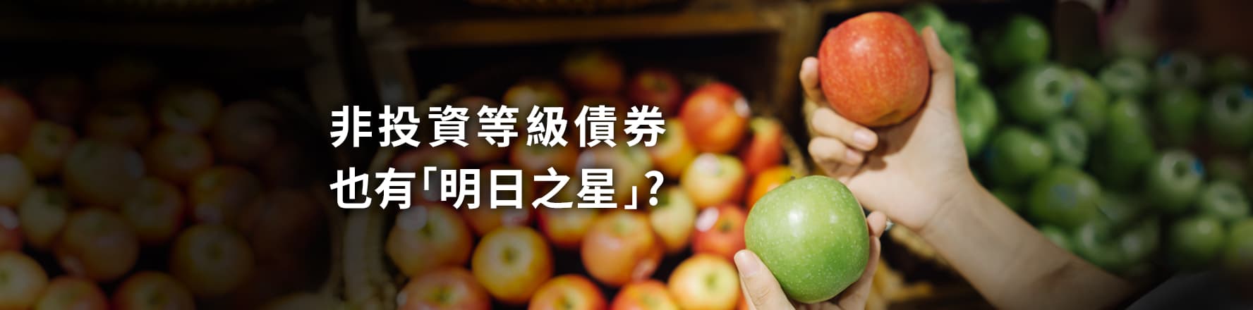 積極收益